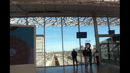 Voyage : Nantes (Loire-Atlantique, Pays de la Loire, France, 2023)