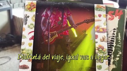 Nadie nos para - Versión Monos del tema del programa #Nadienospara de @fmrockandpop959