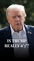 Social Media Has Questions About Donald Trump's Real Height After 6'3
