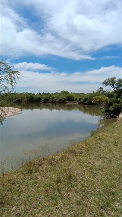 Pescando en el arroyo y cocinando lo que pescamos 🎣😋👌