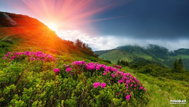 032שער הנקודים פרק ו | Harav ariel sibeoni | Kabbale | secrets de la Torah | ochrot hayim