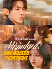 Misjudged She Raised Their Twins  - Drama FULL MOVIES ENGLISH SUB