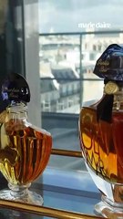 Culte - Les 100 ans de Shalimar de Guerlain