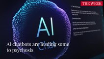 Can Talking To AI Chatbots Be Harmful? Investigating The Risks
