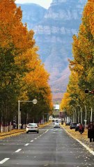 Autumn Road | Cinematic Fall Scenery