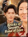 Bricks of Secrets Bond of Love Chinese Drama - English Sub