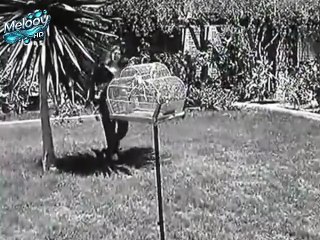 فيلم غرام فى أغسطس بطولة فؤاد المهندس وشويكار