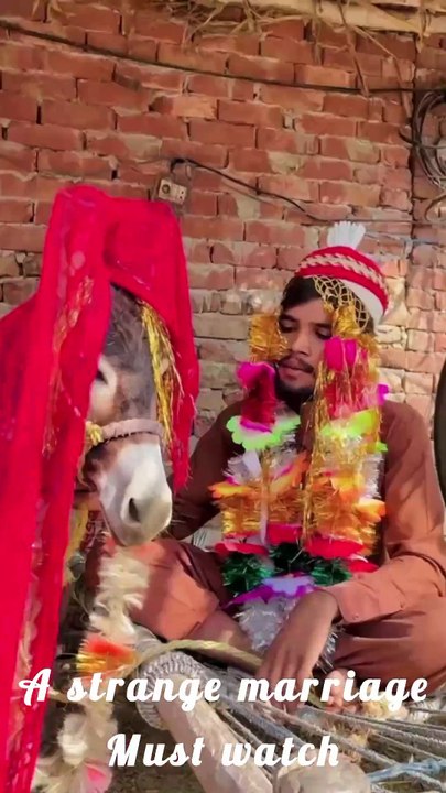 A strange marriage must watch