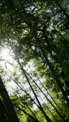 From Oxen and Horses to Vice Emperor / The Strongest Village Chief in History Part 1