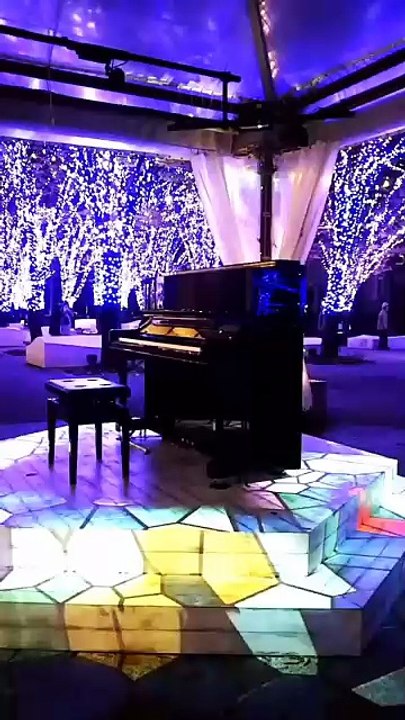 488 ドラマティックレイン イルミネーション版 #スタインウェイグランドピアノ #music #ピアノカバー #稲垣潤一   #イルミネーション #クリスマス #christmas