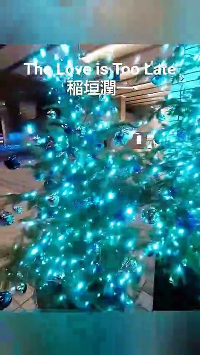 クリスマスイルミネーション The Love is Too Late #music #稲垣潤一 #クリスマスイルミネーション