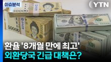 [뉴스나우] 원·달러 환율 '8개월 만에 최고'...외환당국 긴급 대책은? / YTN