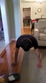 Push For Better Pushups