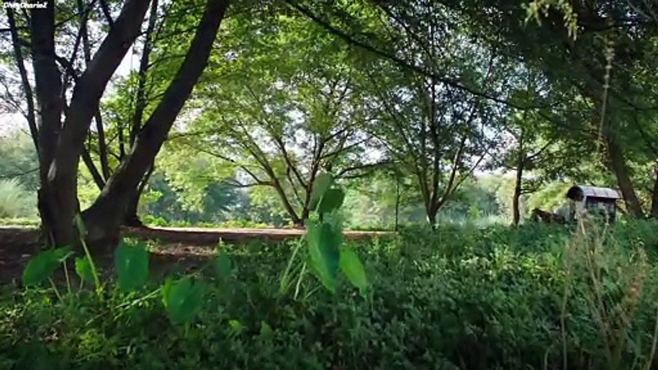 Extraordinary Ep. 16 [English Sub. HD]