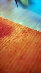 The Trouble He Can't Quit Chinese Drama English SUb