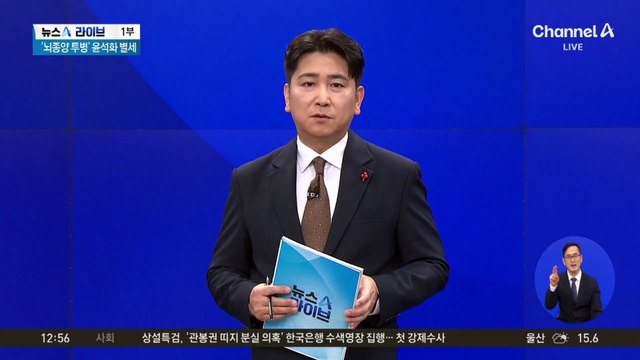‘1세대 연극 스타’ 배우 윤석화 별세…향년 69세