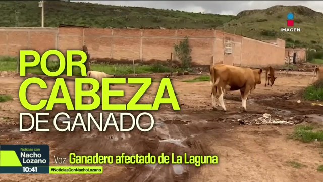 Ganaderos de la región de La Laguna en Durango siguen padeciendo extorsiones
