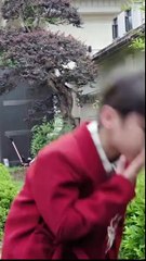 Boss Lady's Tiny Trouble Maker Hero Chinese Drama - English Sub