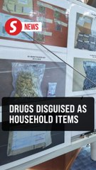 Two youths nabbed for smuggling cannabis buds via courier in Johor