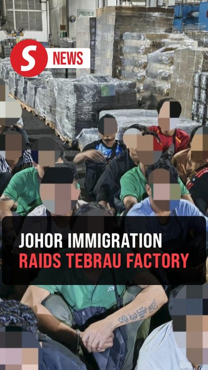 356 undocumented foreigners detained in Tebrau factory raid
