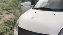 Watch the Magic! 🚗 Before & After Car Wash Near Me