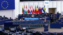 Греческий евродепутат обвинён в насилии и исключён из парламентской группы