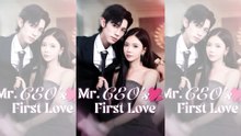 MR. CEO'S FIRST LOVE.