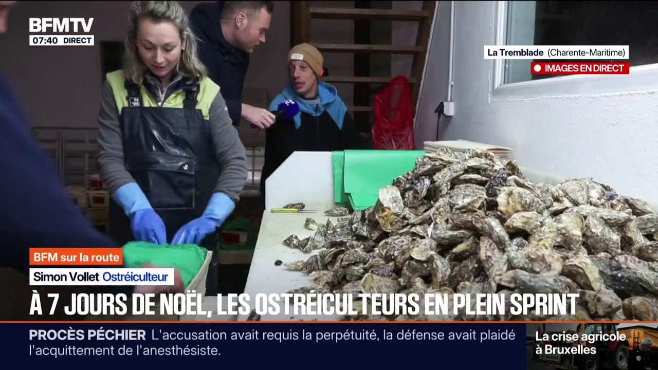 À sept jours de Noël, les ostréiculteurs de Charente-Maritime en plein sprint