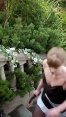 Mafias Forbidden Catch