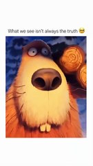 Don’t judge a book by its cover 🥺