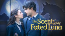 The Scent Of My Fated Luna Full English Sub