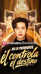 No lo provoques, él controla el destino Film Completo