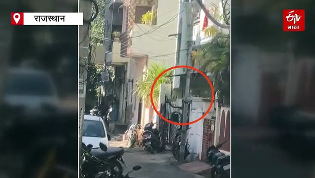 उदयपुर: कॉलोनी में घुसा पैंथर, लोगों में दहशत, वन विभाग की टीम सर्च में जुटी
