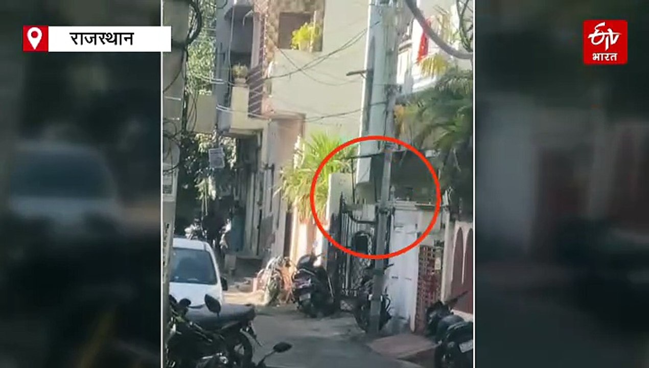 उदयपुर: कॉलोनी में घुसा पैंथर, लोगों में दहशत, वन विभाग की टीम सर्च में जुटी