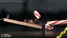 A candy cane is placed in a mousetrap