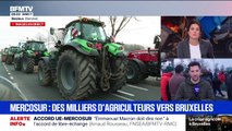 Cet agriculteur de Seine-et-Marne prend part au cortège de près de 400 tracteurs en direction de Bruxelles pour protester contre le Mercosur
