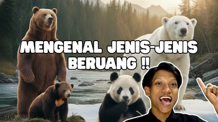 Berbagai Spesies Beruang Menghuni Berbagai Ekosistem di Seluruh Dunia-Serius Ini Hewan?