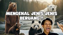 Berbagai Spesies Beruang Menghuni Berbagai Ekosistem di Seluruh Dunia-Serius Ini Hewan?