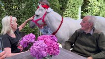Small pony being used to cheer residents of aged care centre in Sale