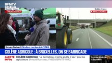 Manifestation d'agriculteurs à Bruxelles: "On veut que tout se passe bien", souligne ce viticulteur membre de la FNSEA