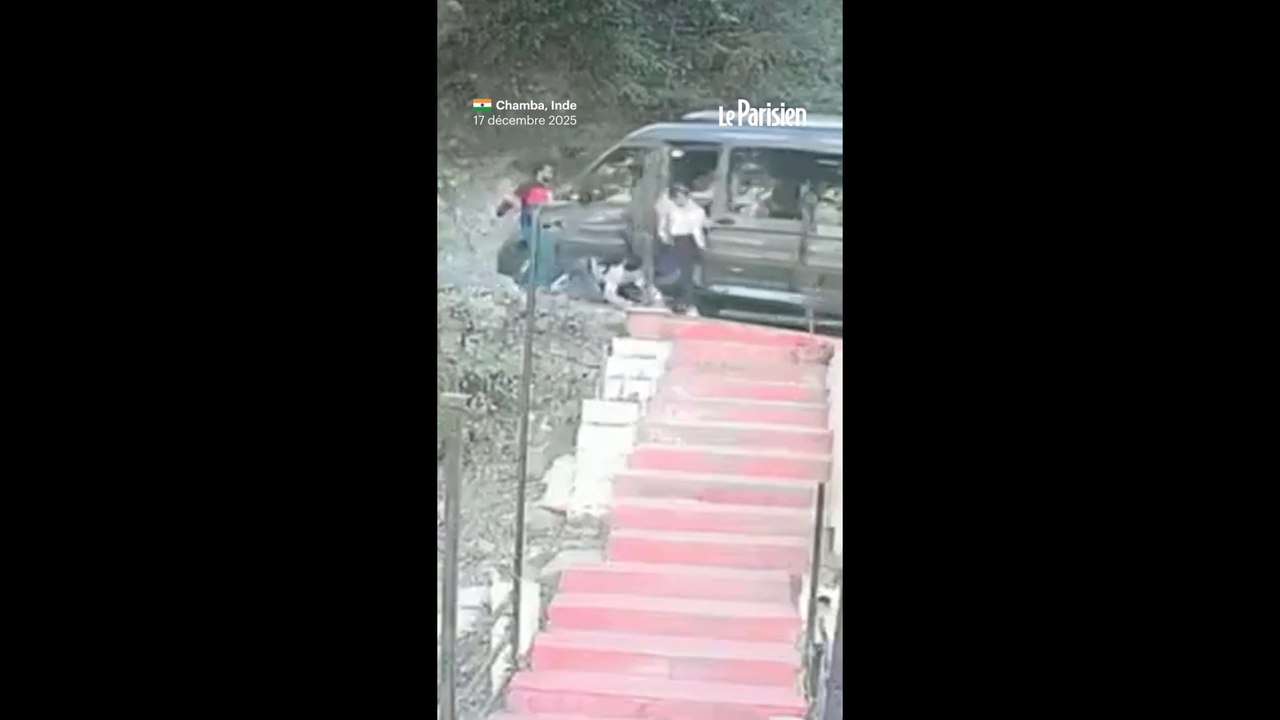 Inde : des touristes sautent d'un minibus en perte de contrôle dans une pente