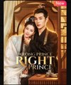 Wrong Prince Right Prince Chinese Drama - English Sub