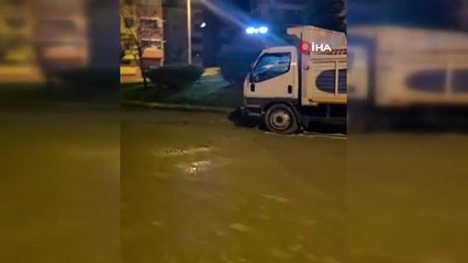 Sinop’ta yiyecek arayan çakal şehir merkezinde görüntülendi