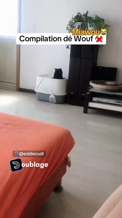T’as préféré quel doublage ?🎙️