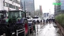 Les agriculteurs manifestent à Bruxelles contre le Mercosur et pour le budget PAC