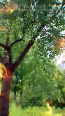 No lo provoques, él controla el destino - Full (2026)