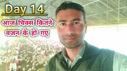 day 14 aj Checks kitne bejan ke ho gaye