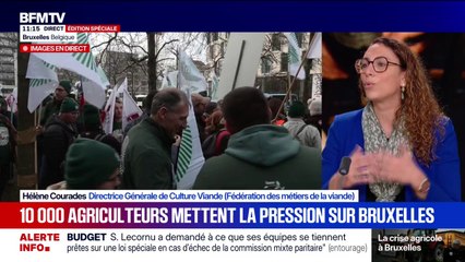 Mercosur: "Cette clause de sauvegarde ne nous satisfait pas", affirme Hélène Courades, directrice générale de Culture Viande