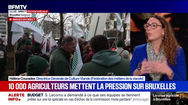 Mercosur: Cette clause de sauvegarde ne nous satisfait pas , affirme Hélène Courades, directrice générale de Culture Viande