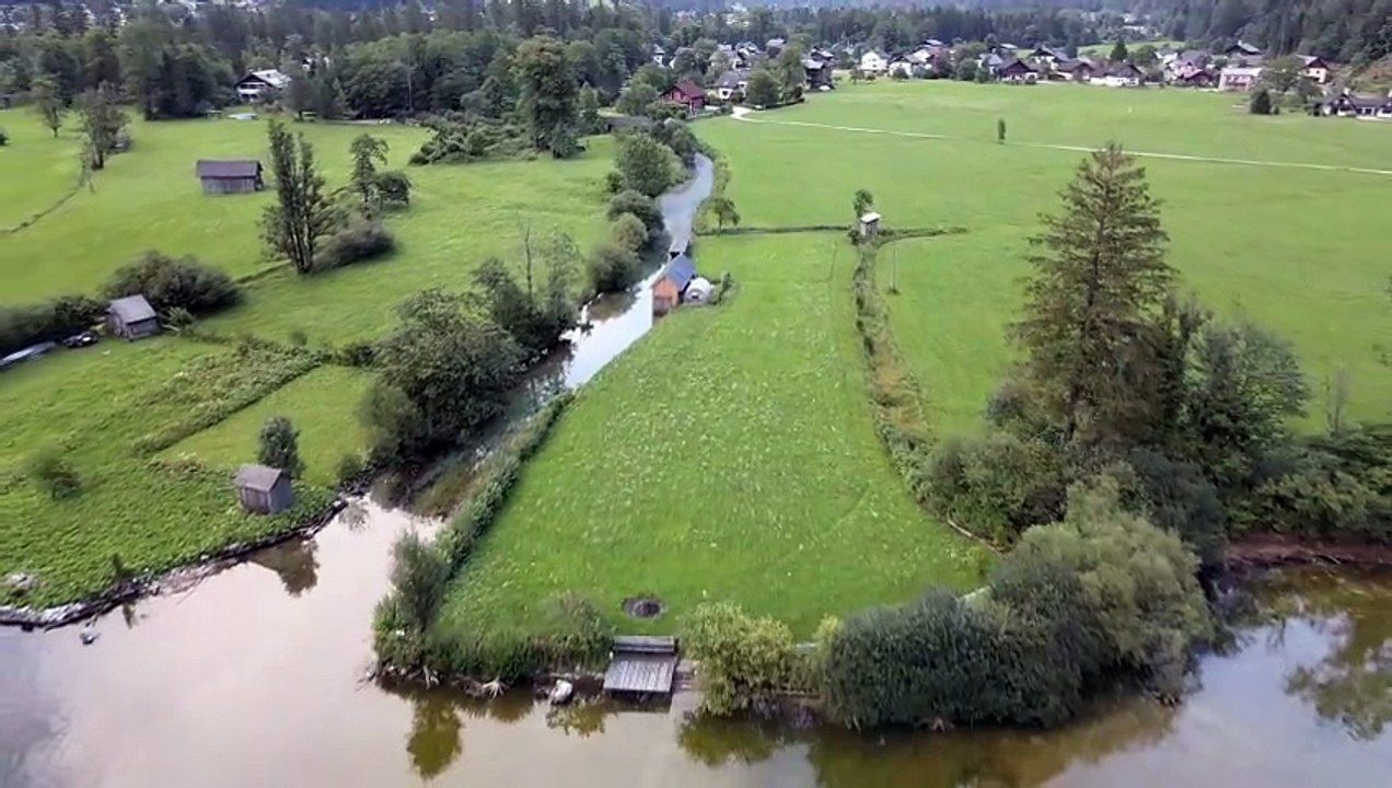 Day29 - 30 Days New You Challenge Malayalam